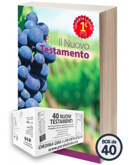 Il Nuovo Testamento | BOX 40