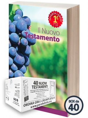 Il Nuovo Testamento | BOX 40